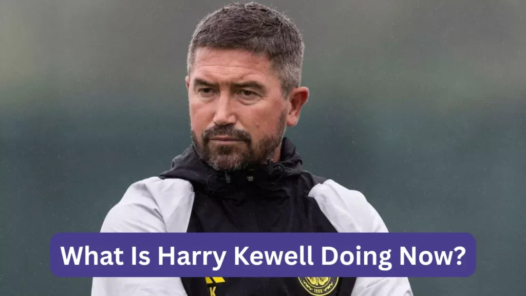 What Is Harry Kewell Doing Now?