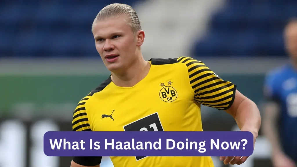 What Is Haaland Doing Now?