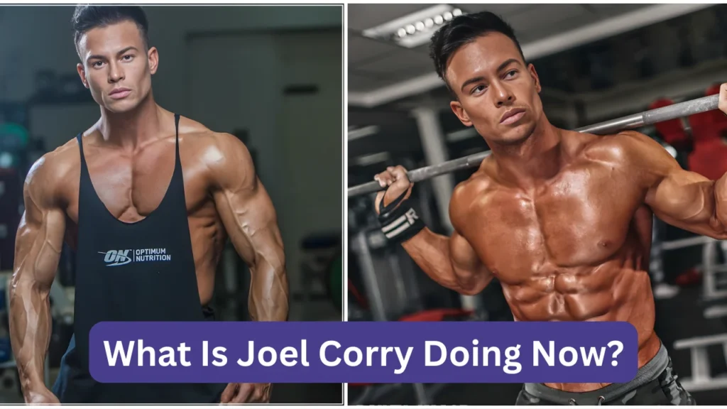 What Is Joel Corry Doing Now?