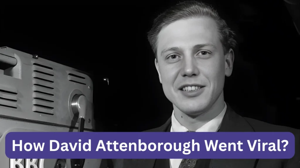 How David Attenborough Went Viral?