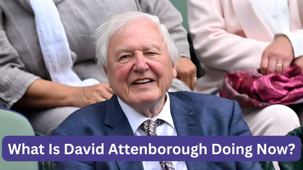 What Is David Attenborough Doing Now?