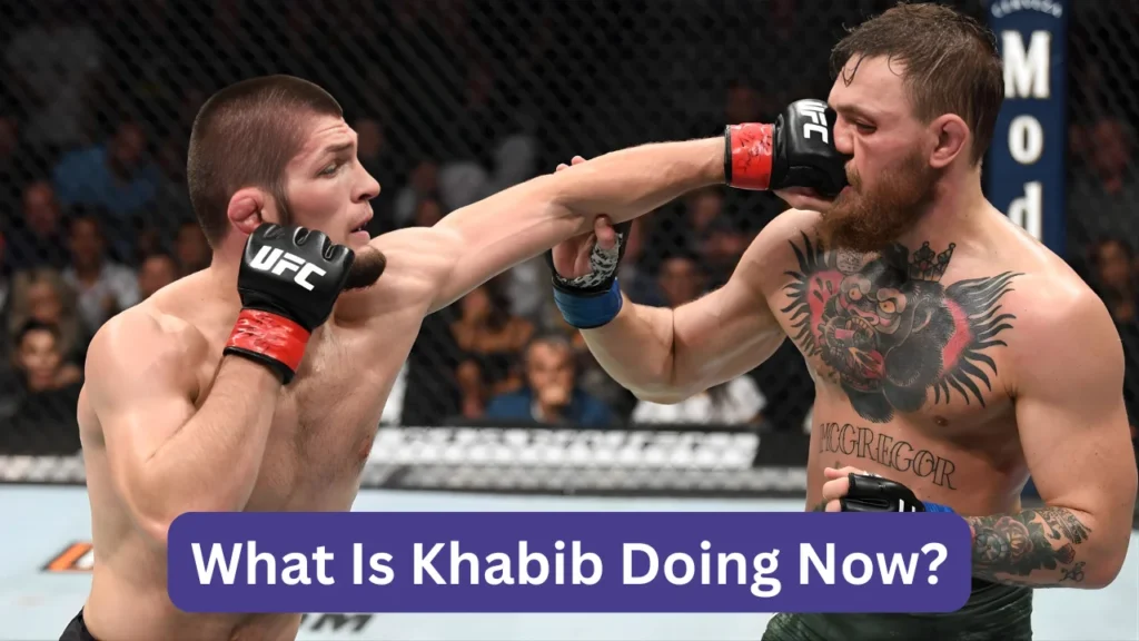 What Is Khabib Doing Now?