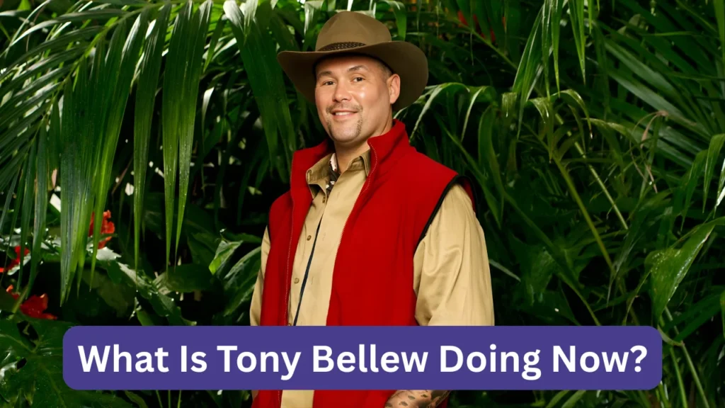 What Is Tony Bellew Doing Now?