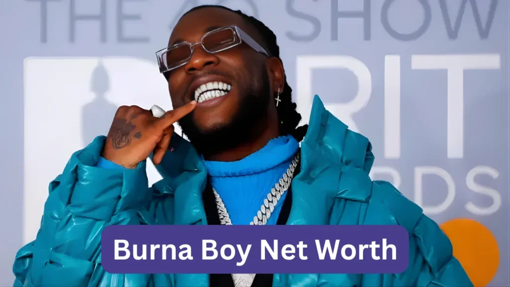 Burna Boy Net Worth