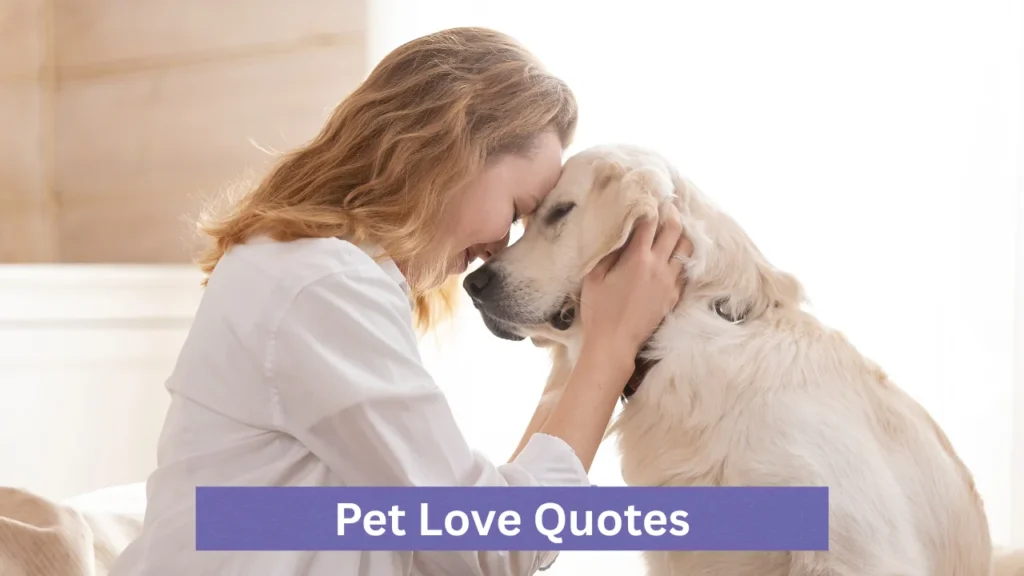 Pet Love Quotes
