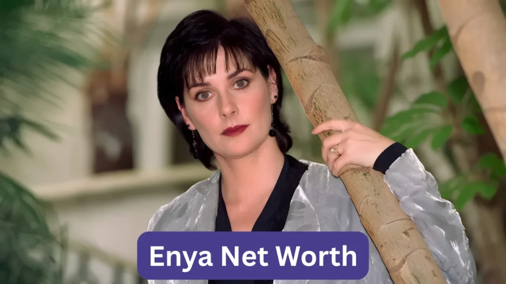 Enya Net Worth