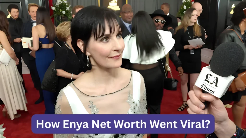 How Enya Net Worth Went Viral