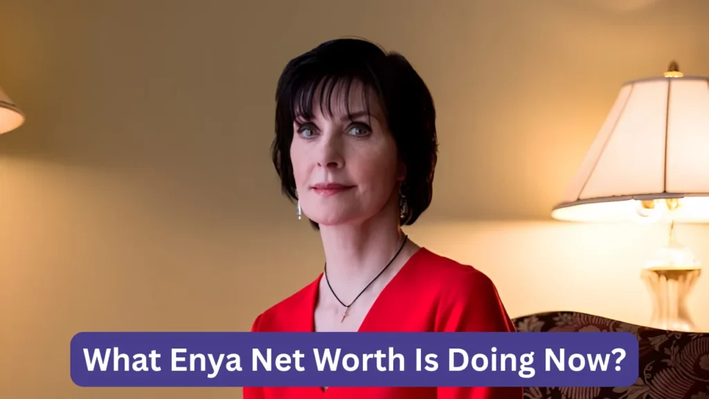 What Enya Net Worth Is Doing Now?